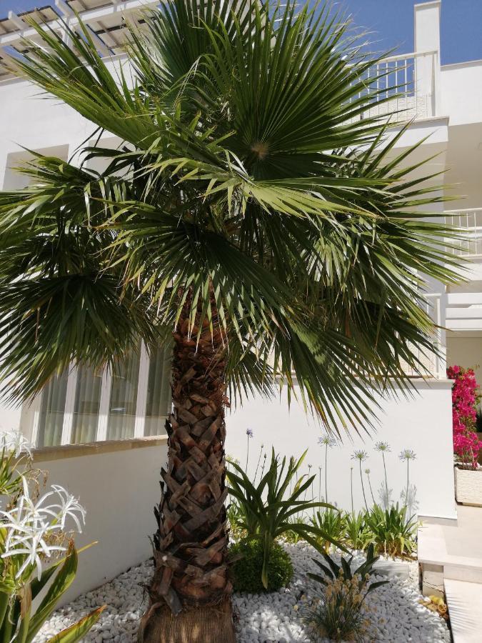 Residence Valentina Int 4 - Rooftop Sea View Infinity Pool سانتا ماريا أل بانيو المظهر الخارجي الصورة